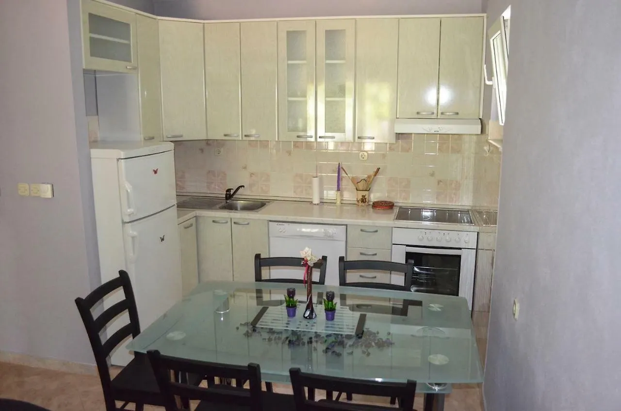 Apartment Anton 特罗吉尔